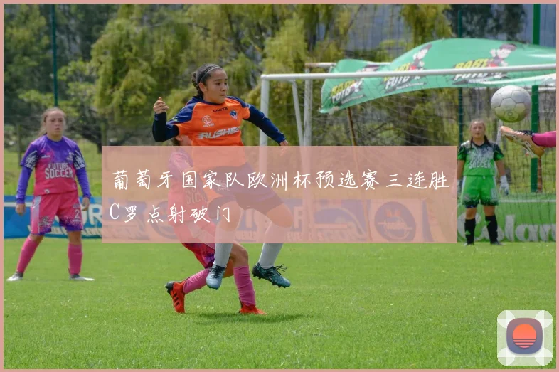 葡萄牙国家队欧洲杯预选赛三连胜C罗点射破门
